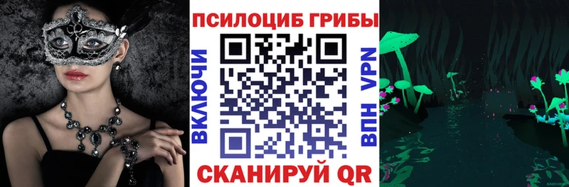 Купить где  Добрянка  Псилоцибиновые грибы Cubensis 