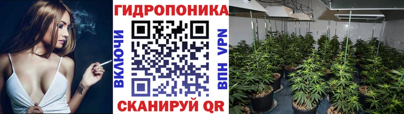 Конопля семена Добрянка